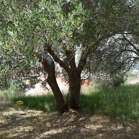 Charming Rab Διαμέρισμα *