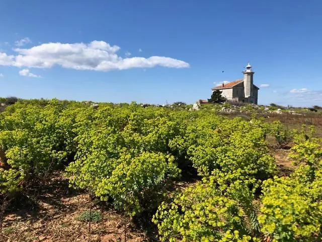 Charming Rab * Rab Town