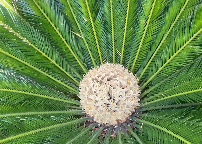 Apartment Charming Rab *