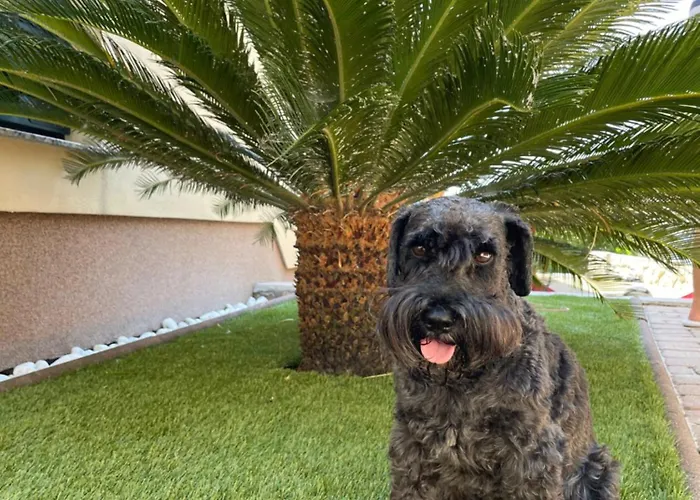 Charming Rab Rab Town