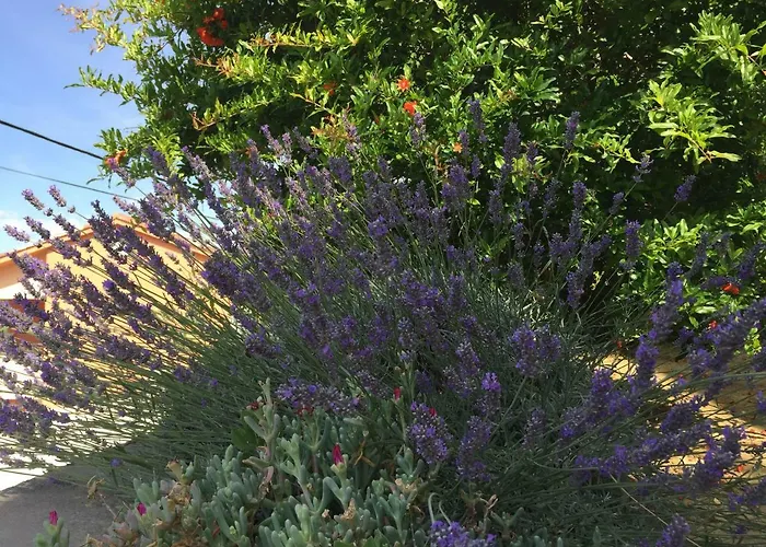 Apartment Charming Rab Rab Town