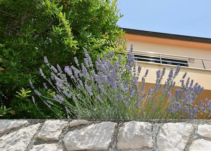 Charming Rab Rab Town