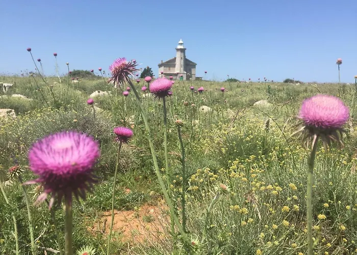 Apartment Charming Rab *